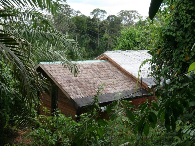 Paganakan Dii Tropical Retreat Sepilok Ngoại thất bức ảnh