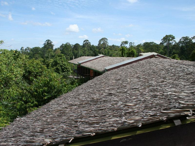 Paganakan Dii Tropical Retreat Sepilok Phòng bức ảnh