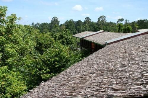 Paganakan Dii Tropical Retreat Sepilok Ngoại thất bức ảnh