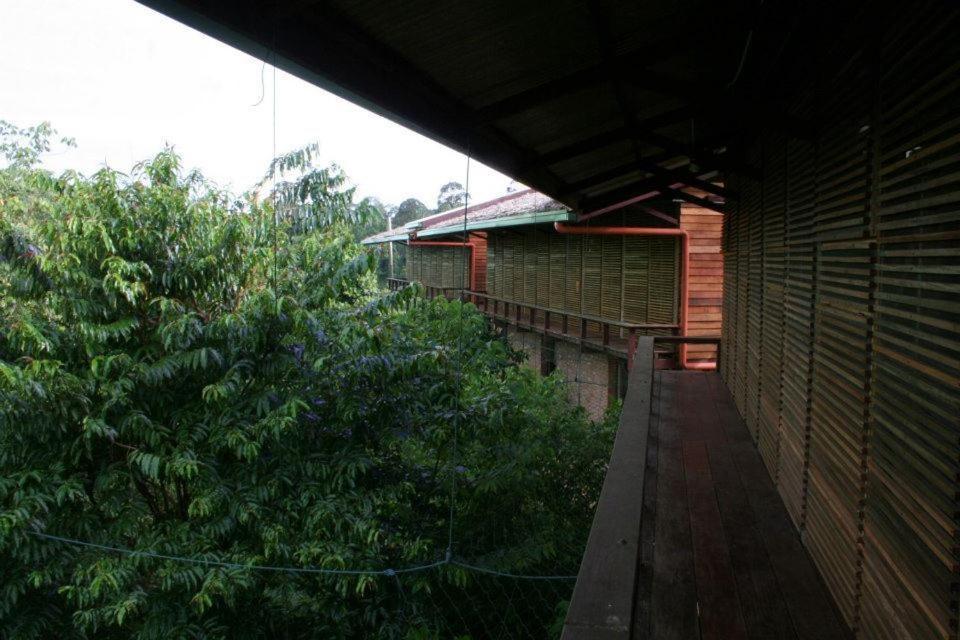 Paganakan Dii Tropical Retreat Sepilok Ngoại thất bức ảnh